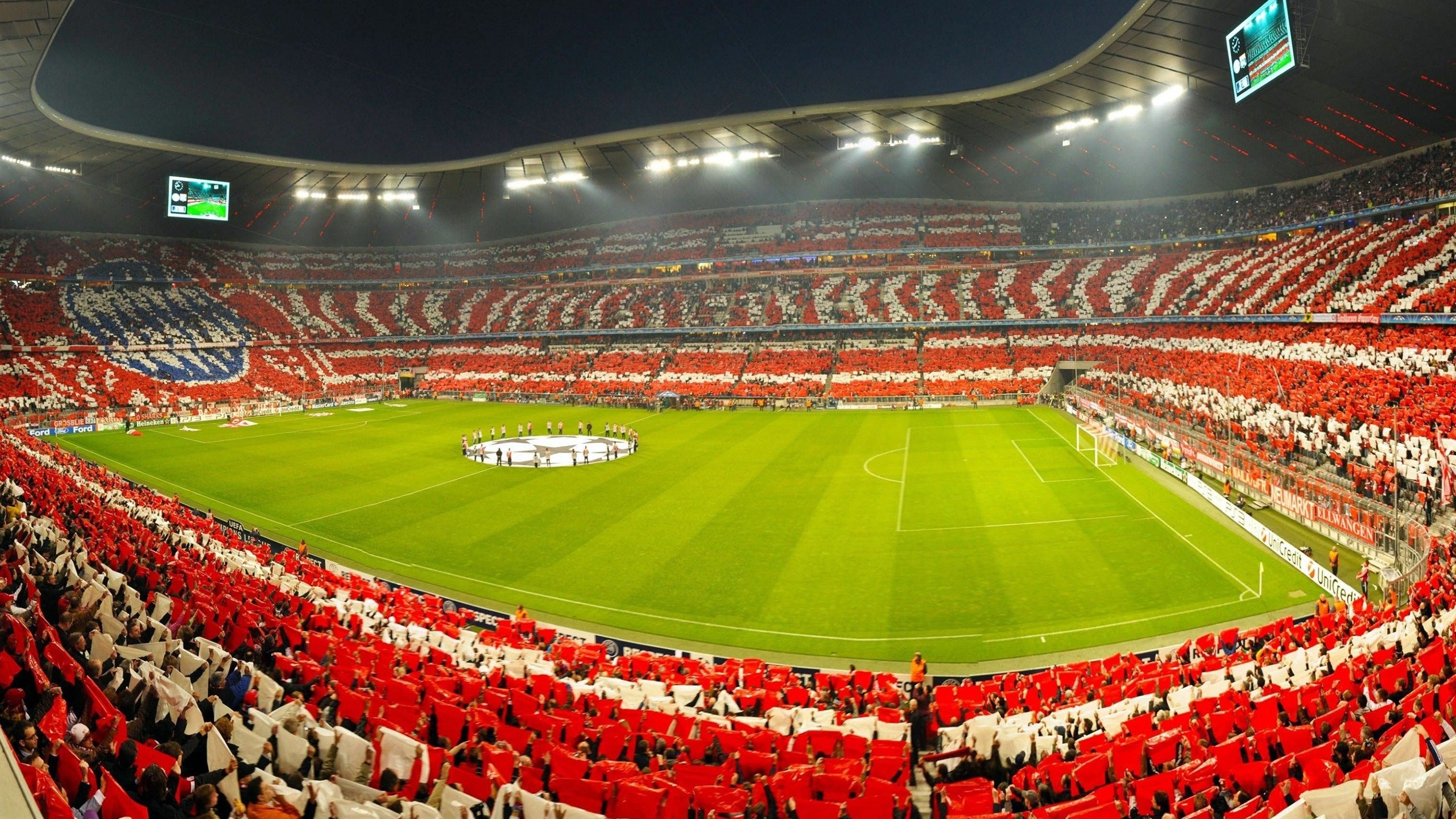 世界动物保护主题越野赛 部分赛段设立科普站点