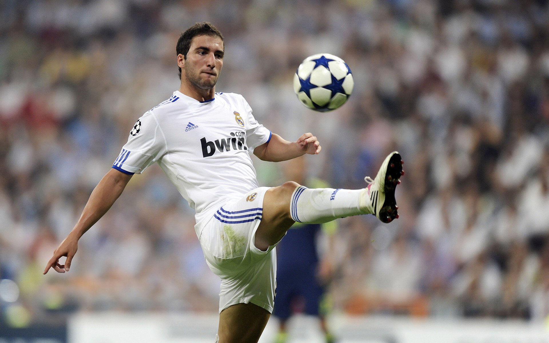 网球名将成功晋级下一轮比赛